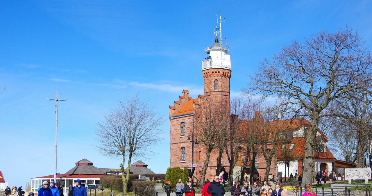 W Polsce w tym zawodzie pracuje mniej niż 20 osób. AI im nie grozi
