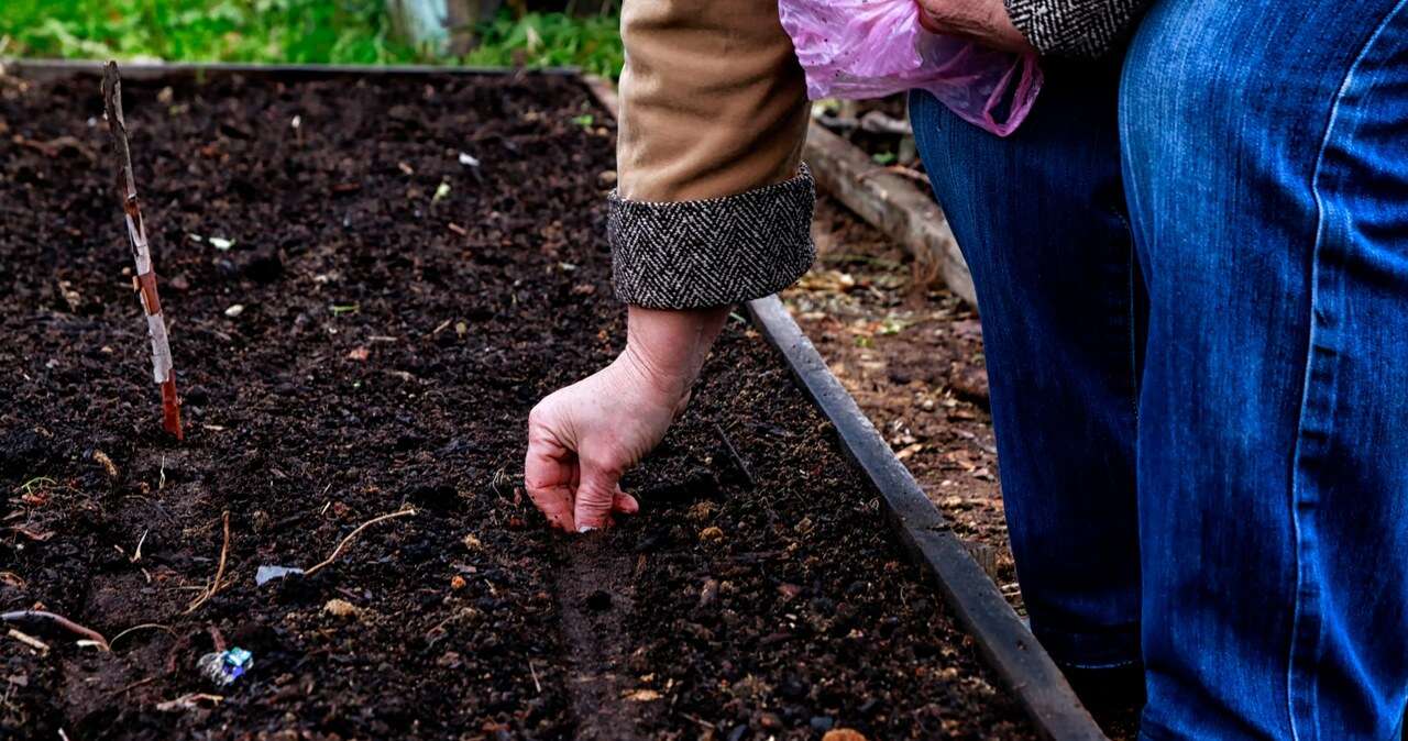 Szukają do pracy. Płacą 84 zł za godzinę. Nie trzeba kwalifikacji