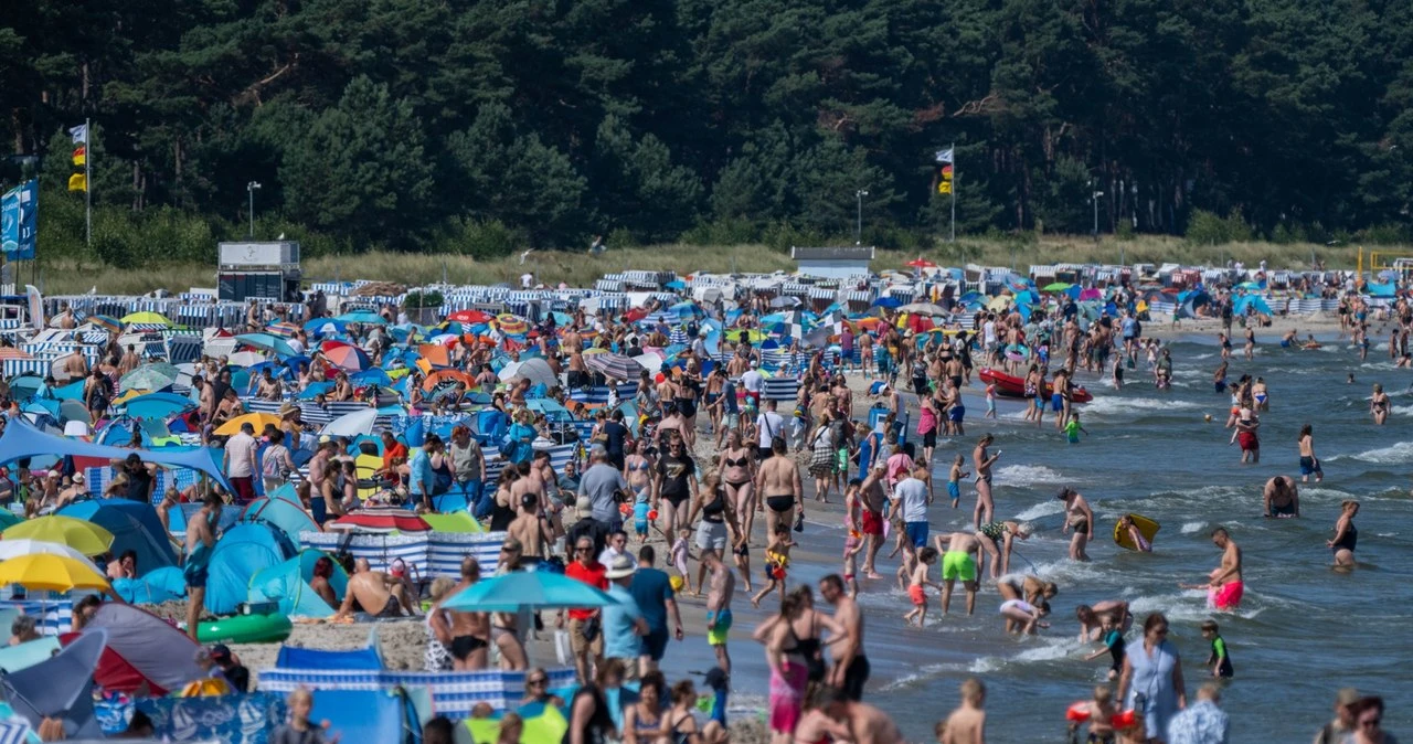 Tyle zapłacimy za gofry i lody nad polskim morzem. Drożej niż w Niemczech