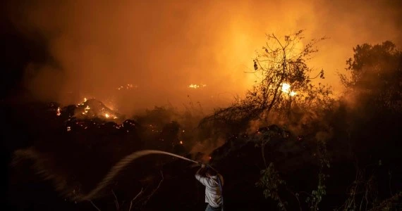 Brazylia: Niepokojące dane o pożarach w Amazonii