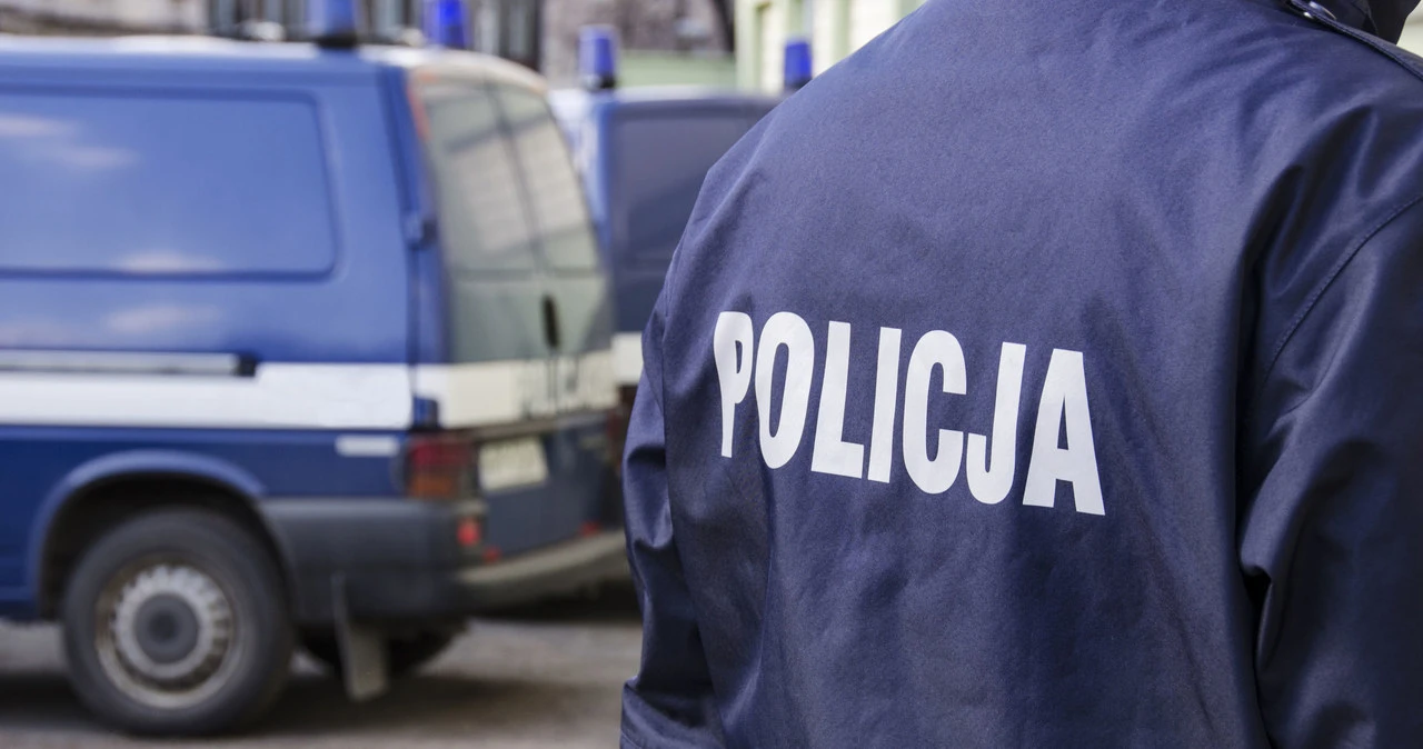 Policja kontroluje właścicieli psów. 500 zł za brak jednego papierka