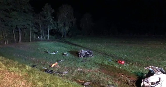 BMW uderzyło w drzewo. I właściwie zniknęło...