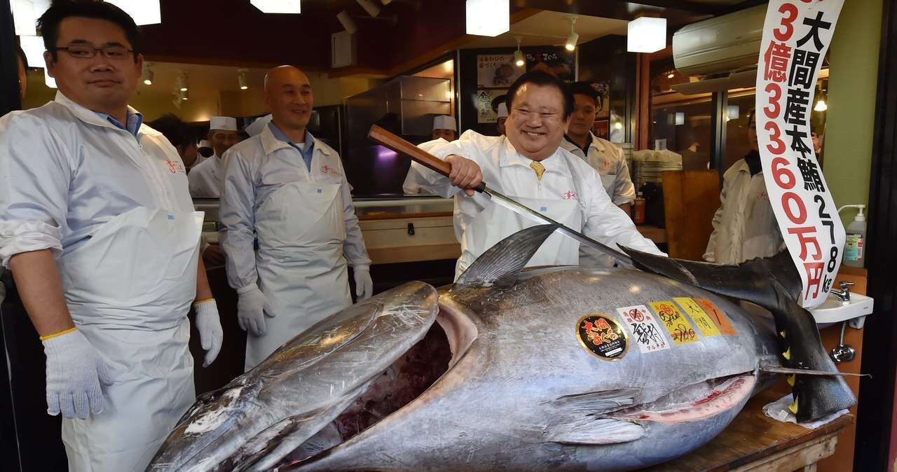 Tuńczyk za ponad milion dolarów. Zjedzą go klienci restauracji sushi