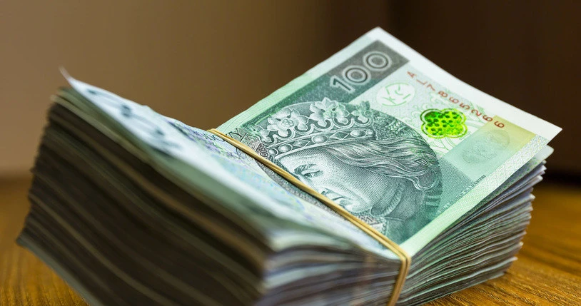 Tak oszczędzają Polacy. Ponad 6 mld zł w jednym miesiącu