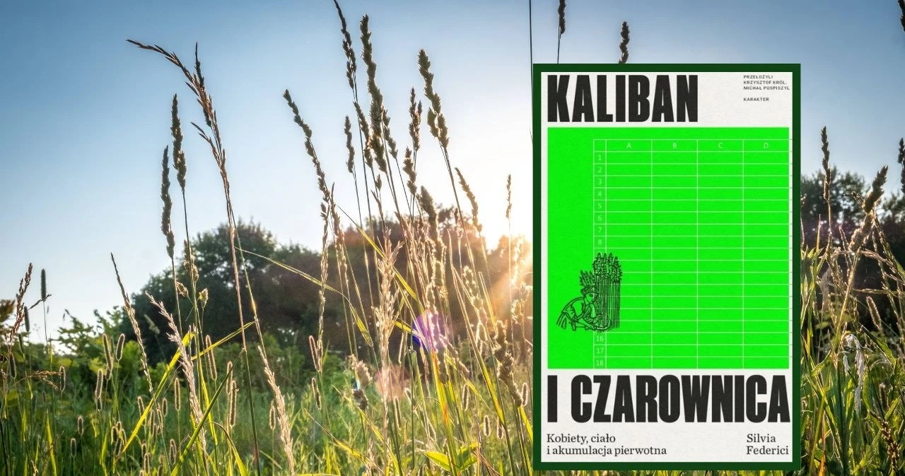 Półka Ekonomiczna#13: To kapitaliści palili czarownice na stosach