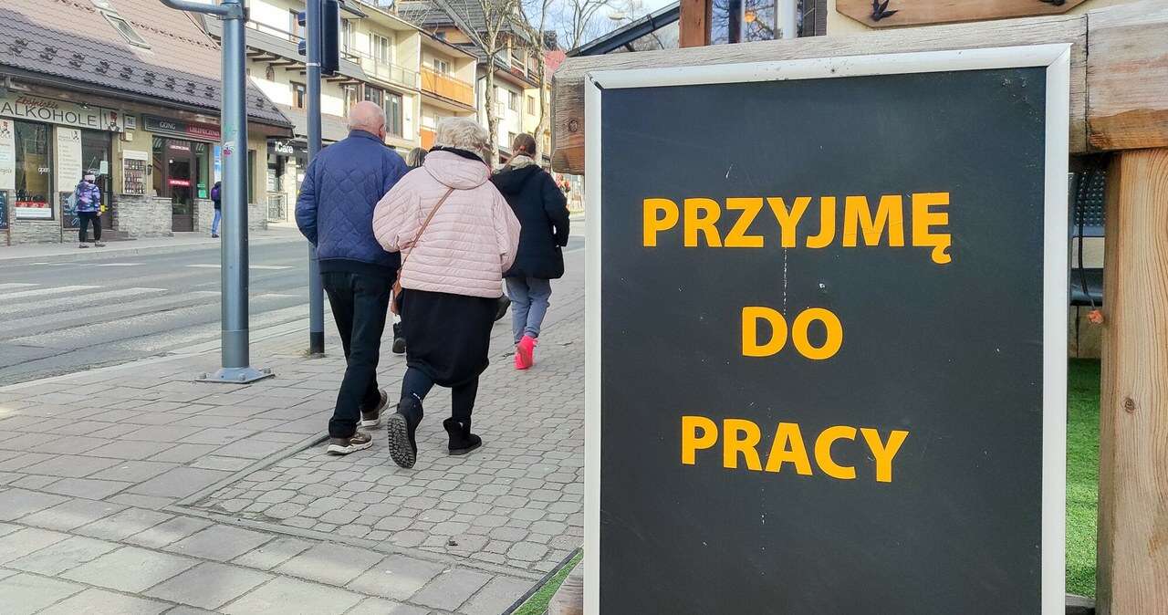 Kiedy jawność zarobków w ogłoszeniach? Konfederacja: Będą procesy