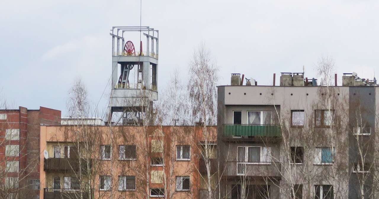 Zielona transformacja. Na skutki najbardziej narażone są trzy powiaty