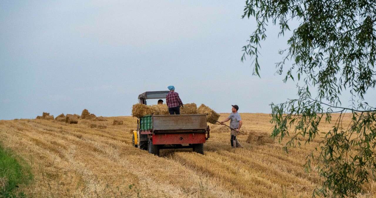 Masowe kontrole u rolników. Za wykazanie nieprawidłowości grożą dotkliwe kary