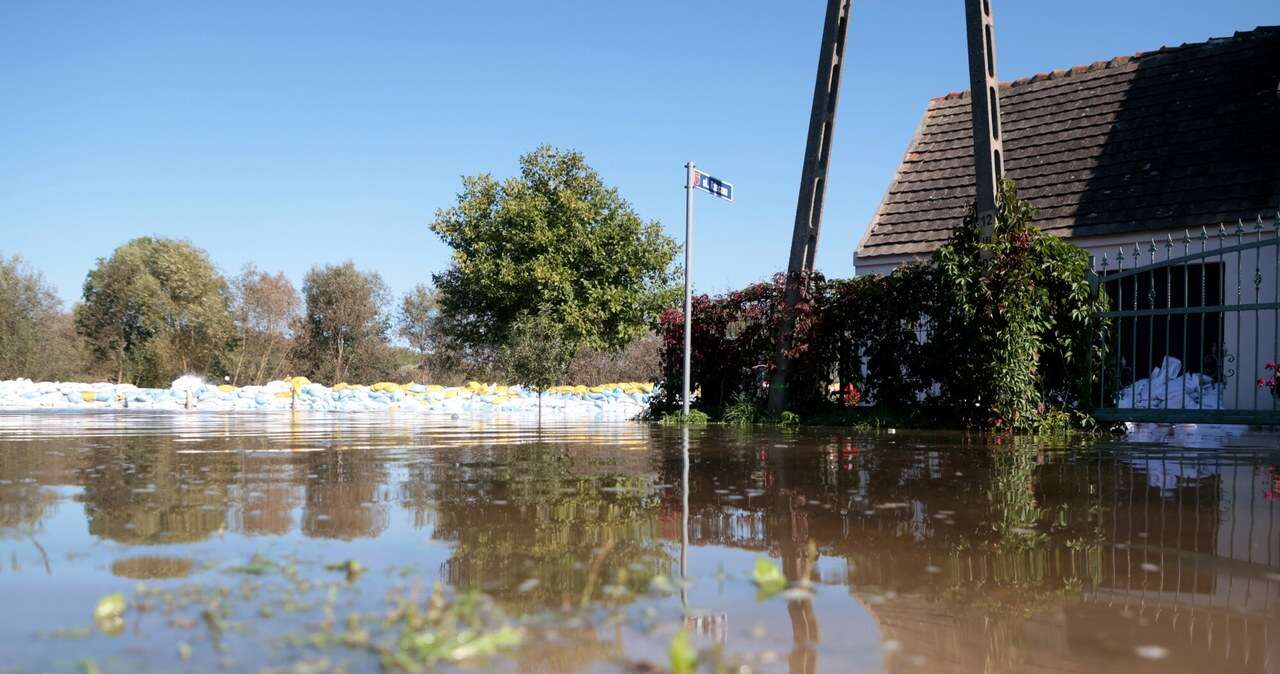 Pomoc dla rolników. Podano stawki, do kiedy trzeba złożyć wnioski?