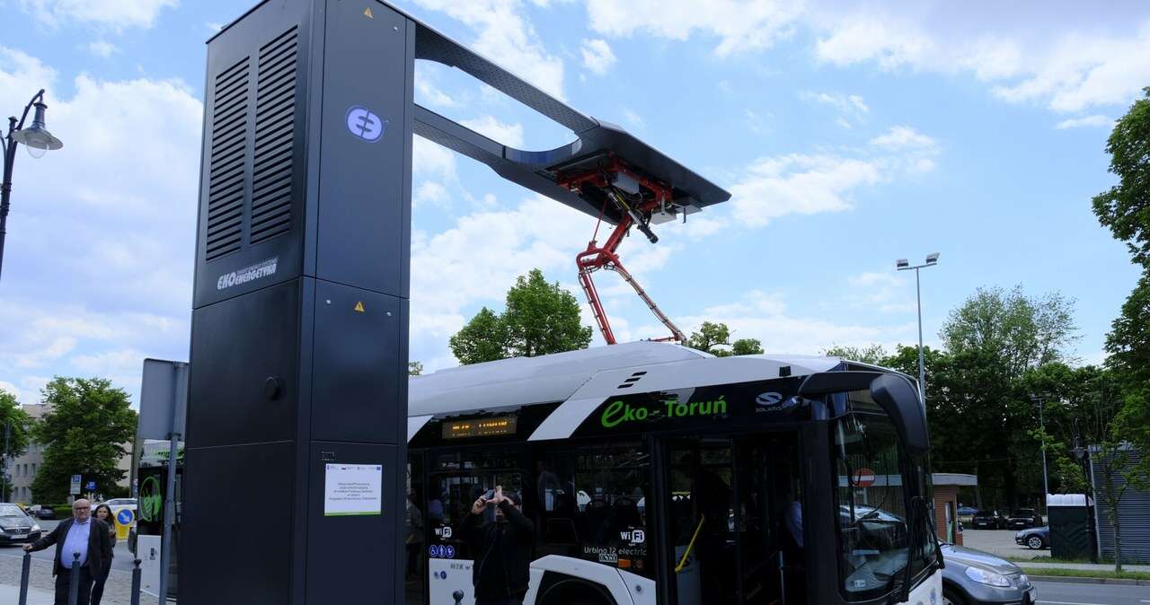 Kilka tygodni temu kupili nowe autobusy. Elektryczne pojazdy 