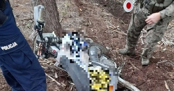 Niemcy rozjeżdżają polskie lasy?