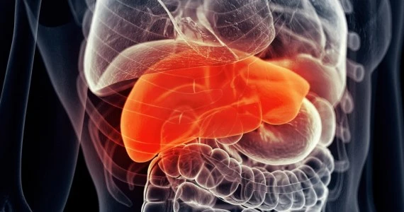 Wirus HCV: Jak się przed nim chronić?