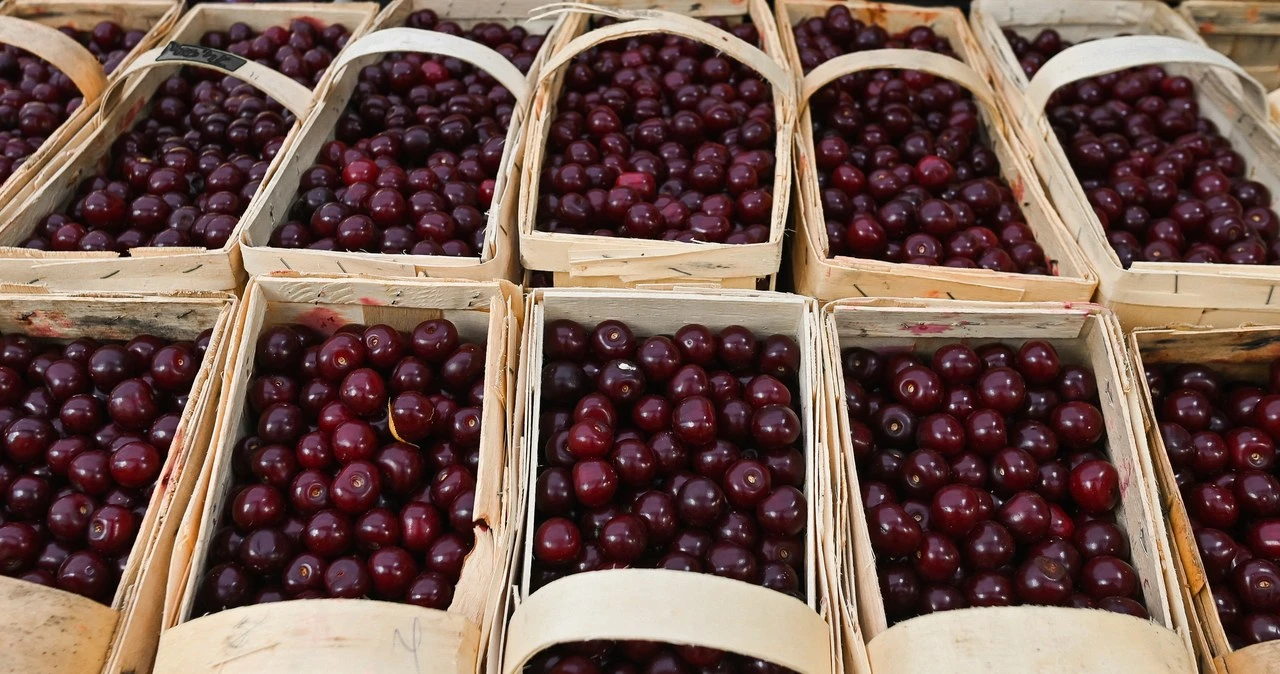 Pierwsze czereśnie pojawiły się w sprzedaży. Ceny 