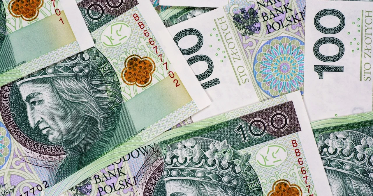 Specjalny dodatek na psa. Tylko dla nich po 280 zł miesięcznie