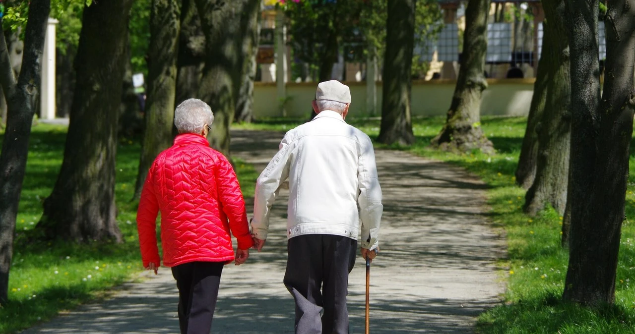 ZUS 350 zł wyśle bez wniosku. Wystarczy, że masz tyle lat