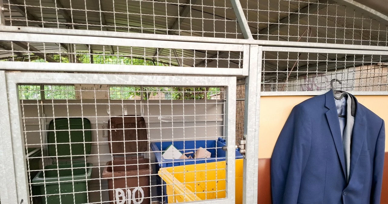 Mandat może dostać niemal każdy. Sprawdź, nim wyrzucisz