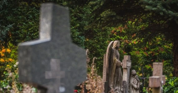 Silny wiatr w Gdańsku. Zamknięto cmentarze i parki