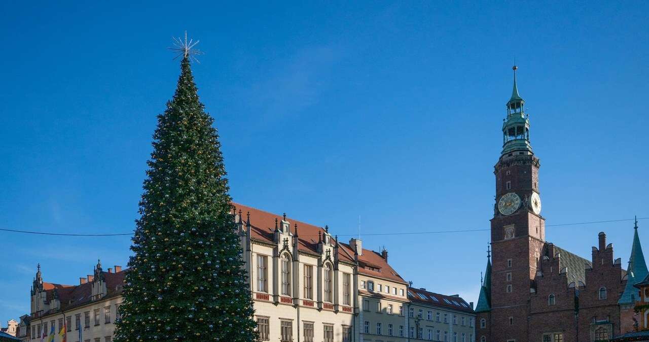 Fortuna za choinkę na rynku. Warszawa bije Wrocław na głowę