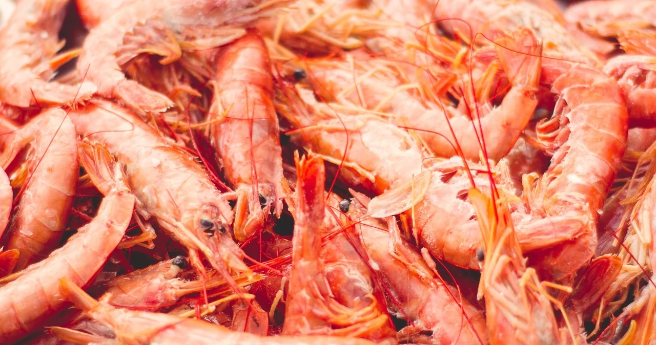 Afera w USA. Duża sieć wycofuje krewetki. 