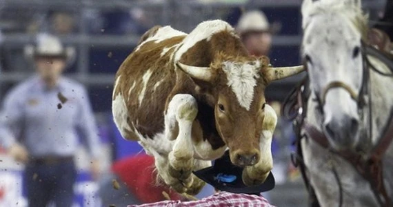 Rodeo w Houston
