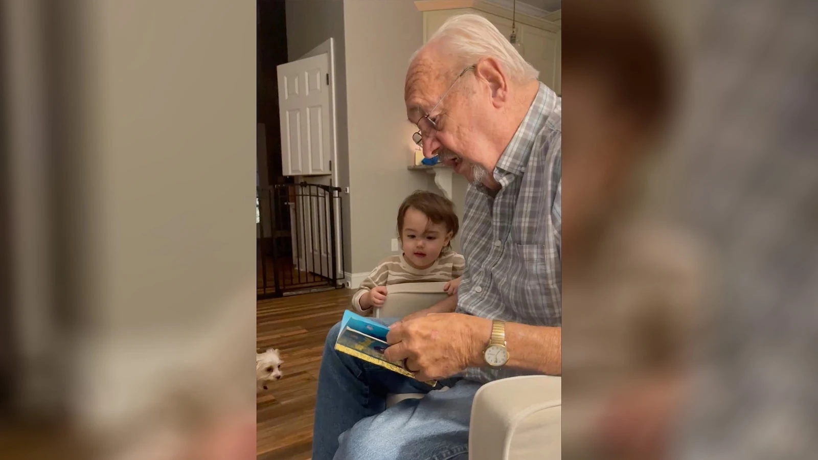 Great-grandfather goes viral for reading 'Baby Shark' to great-granddaughter“We were laughing so hard.