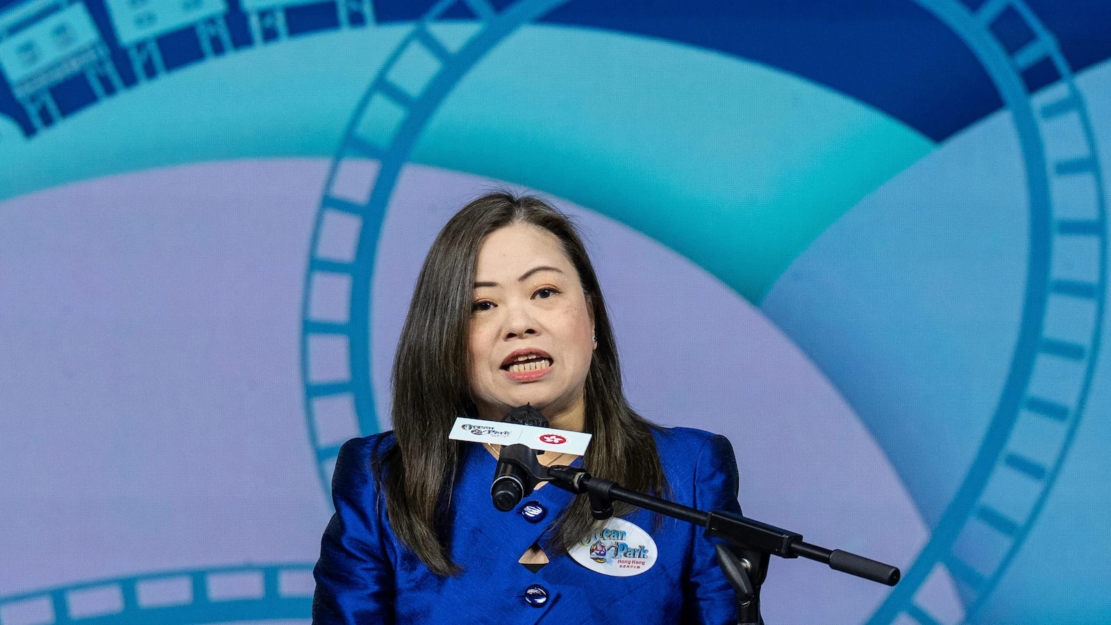 Hong Kong's baby pandas finally get names. Meet Jia Jia and De De