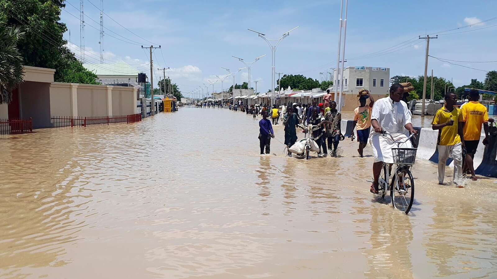 Dam collapse in Nigeria sweeps deadly reptiles into flooded communities