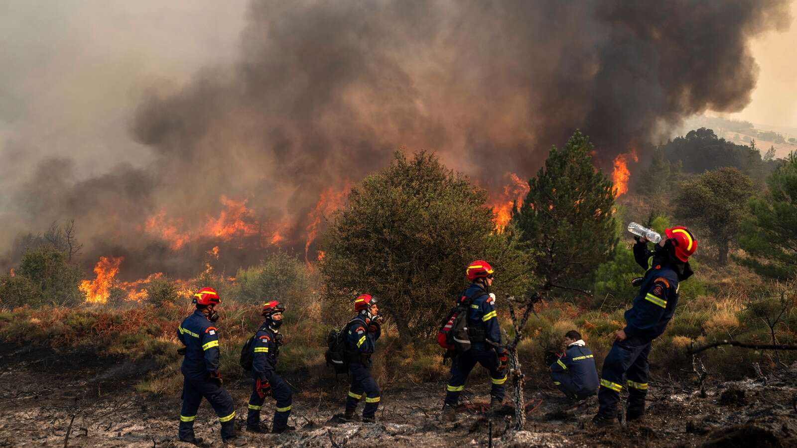 Greek firefighters make progress in taming deadly forest blaze burning for 4 days