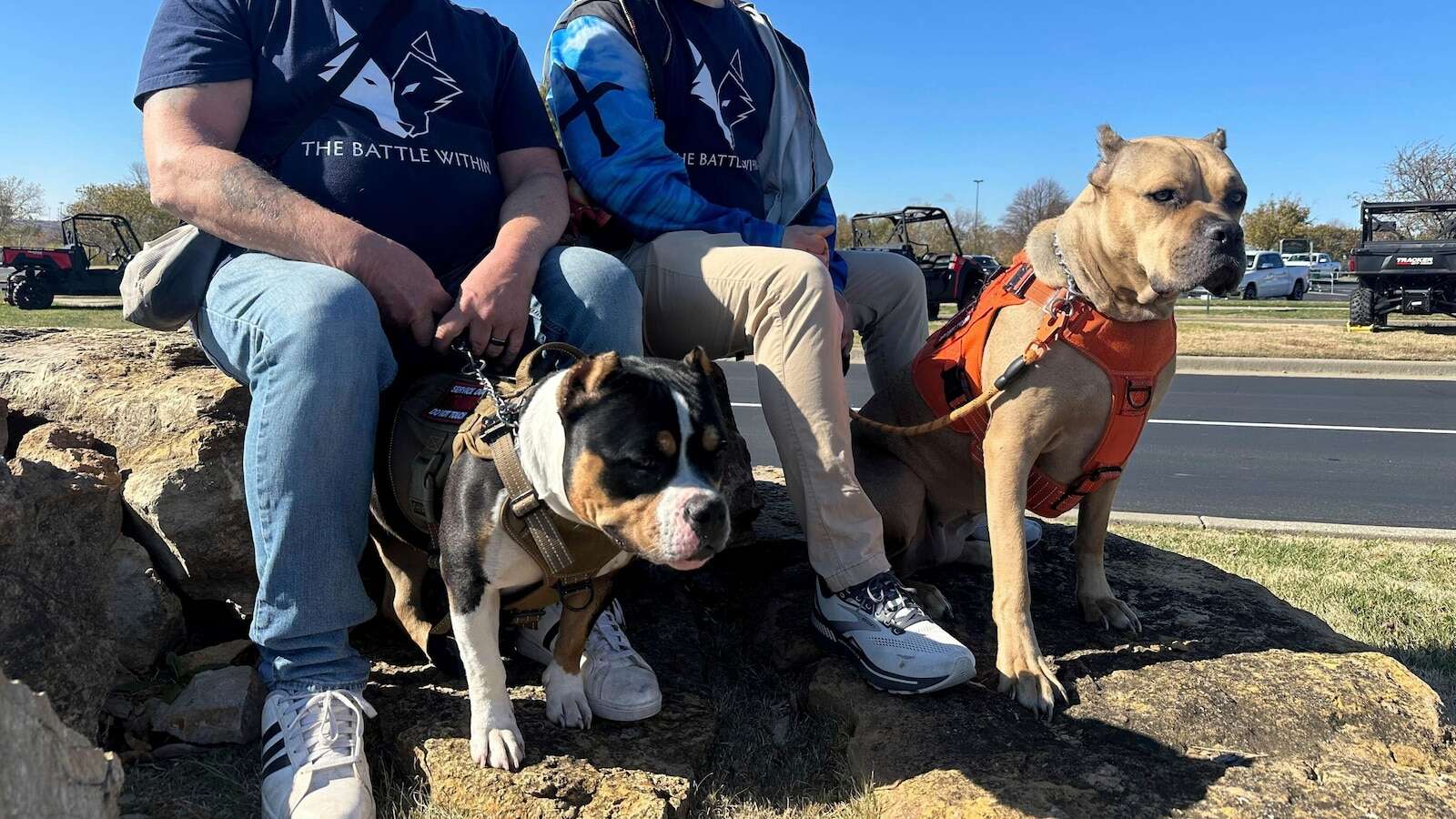 'I got my life back.' Veterans with PTSD making progress thanks to service dog program