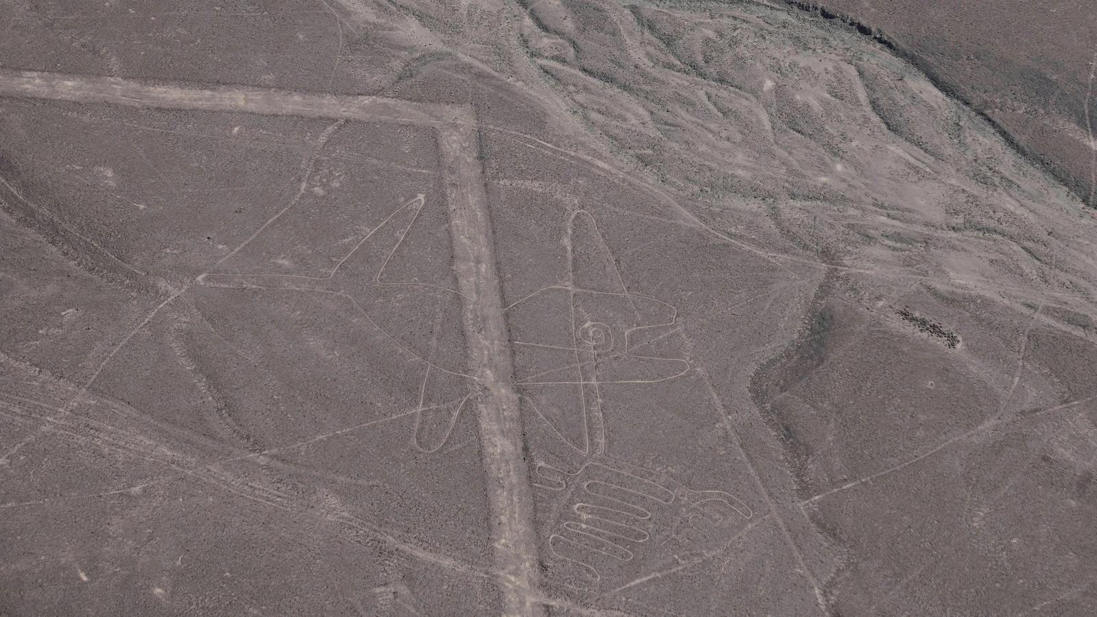 Peru reinstates full protection of Nazca Lines reserve after controversial cutback