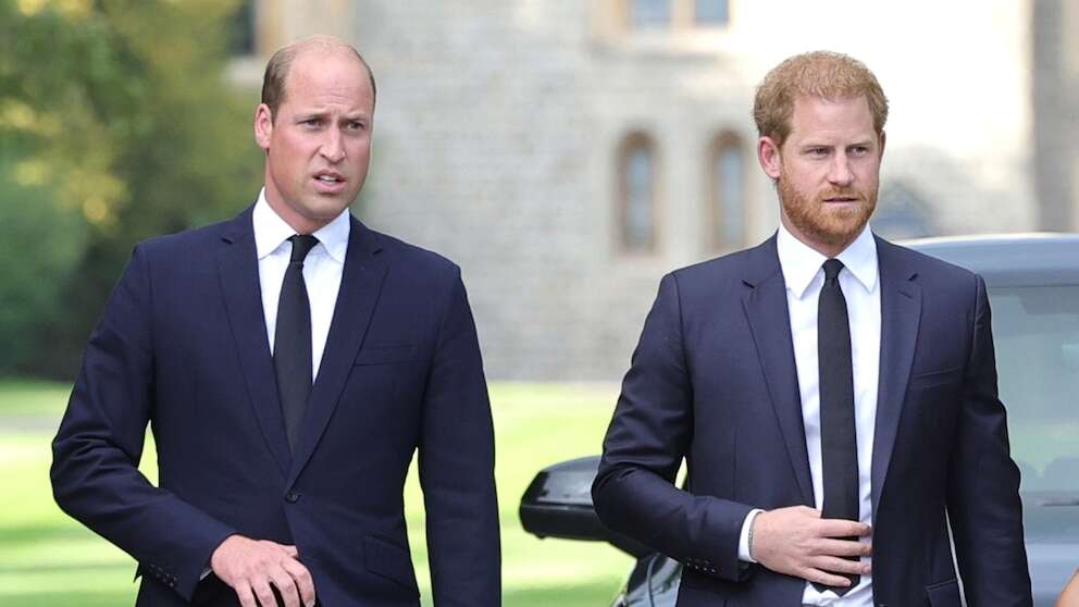 New details emerge about William, Harry rift