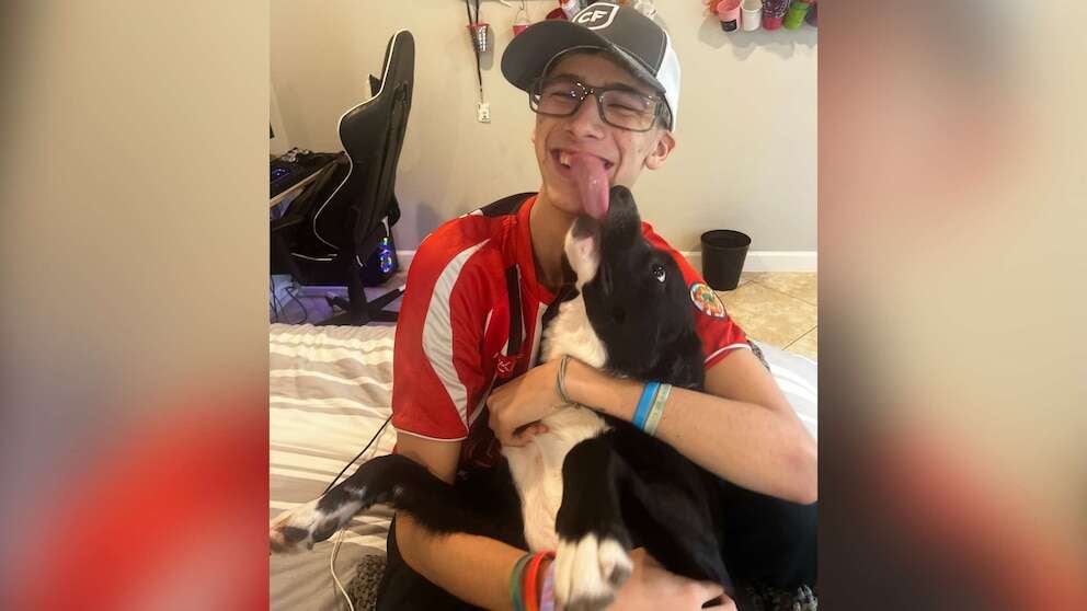 Family dog alerts parents as kid suffers stroke