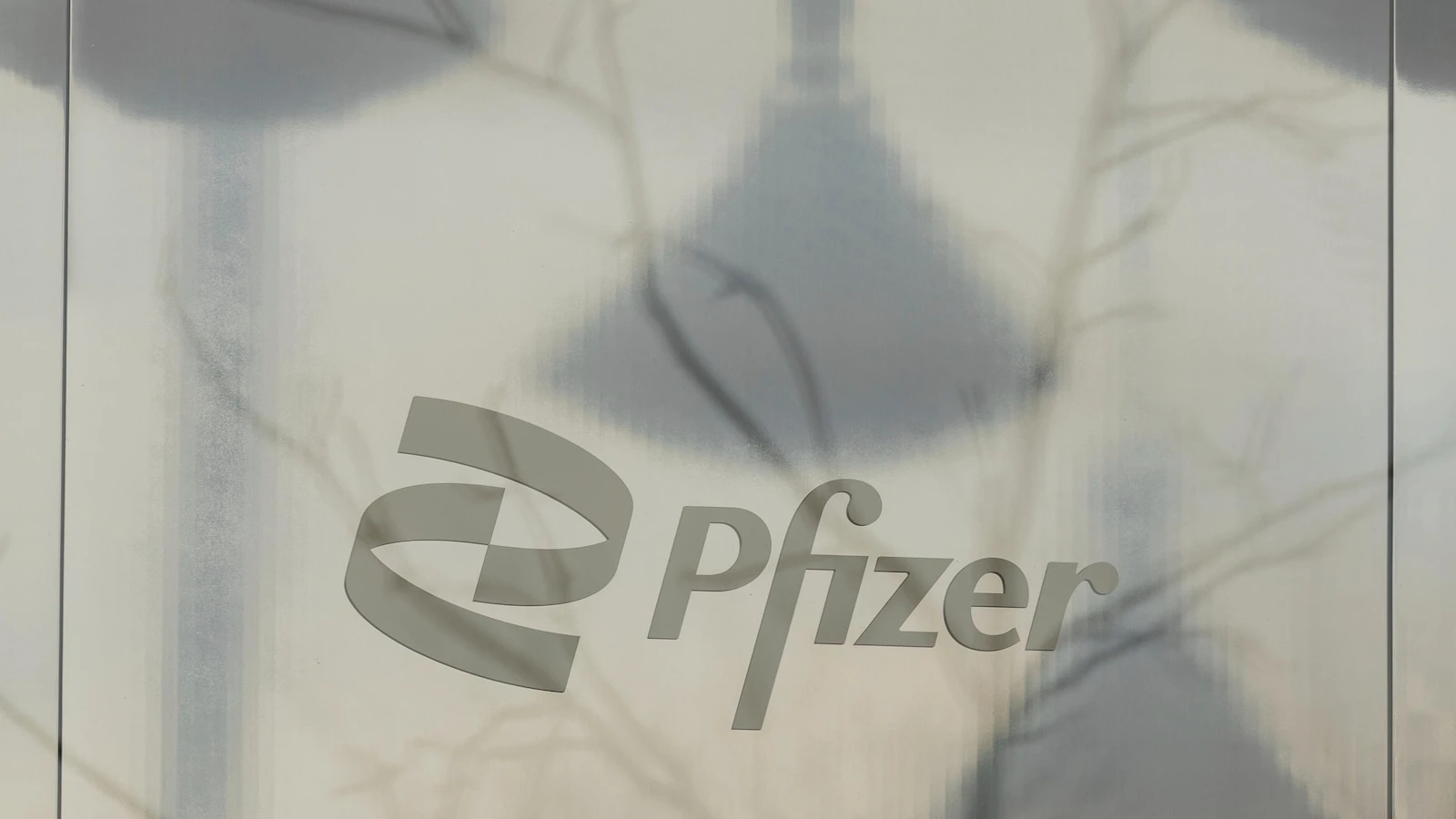 Pfizer amps up push into obesity treatments with $4.9B deal for Metsera
