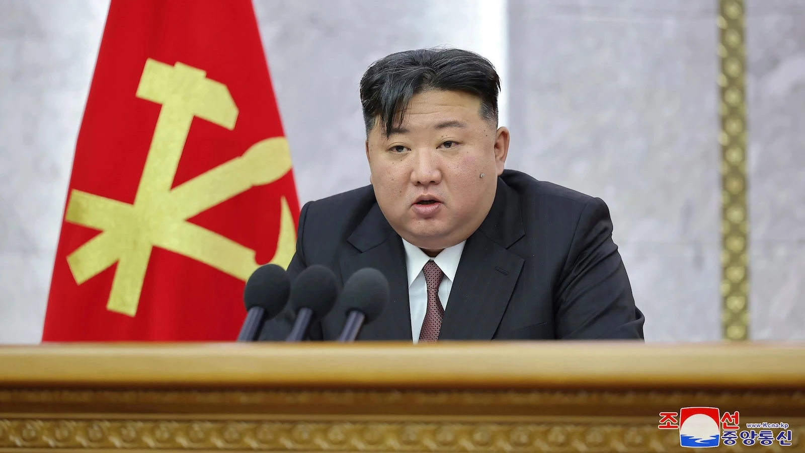 North Korean officials looking for medicines for Kim's obesity-related health problems, Seoul says