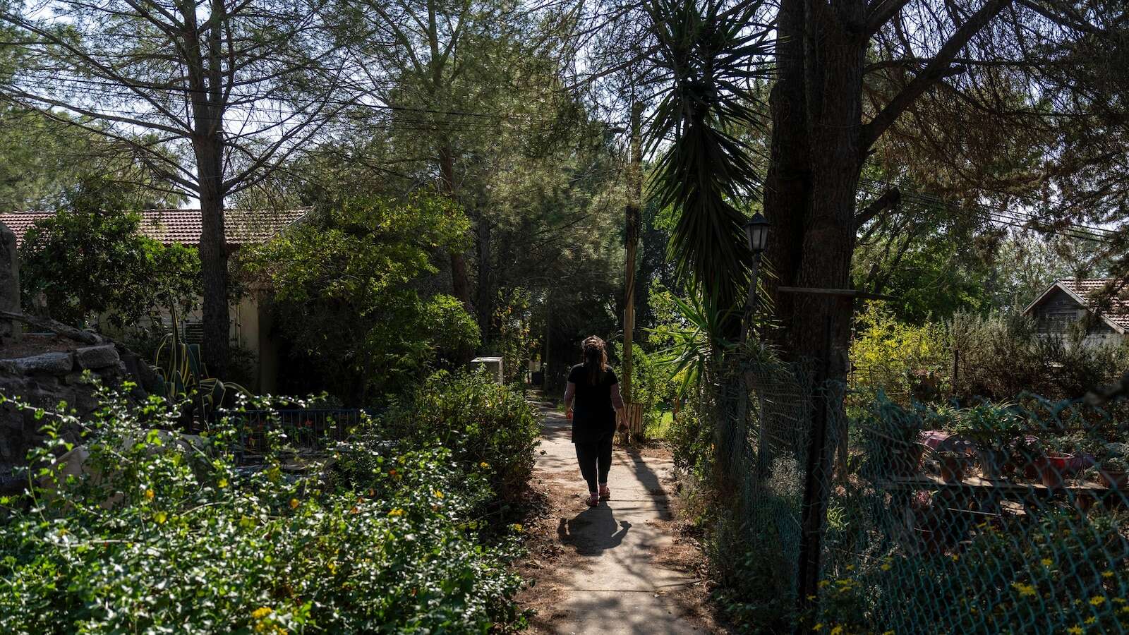 In an Israeli settlement named after Trump, residents see opportunity after the election