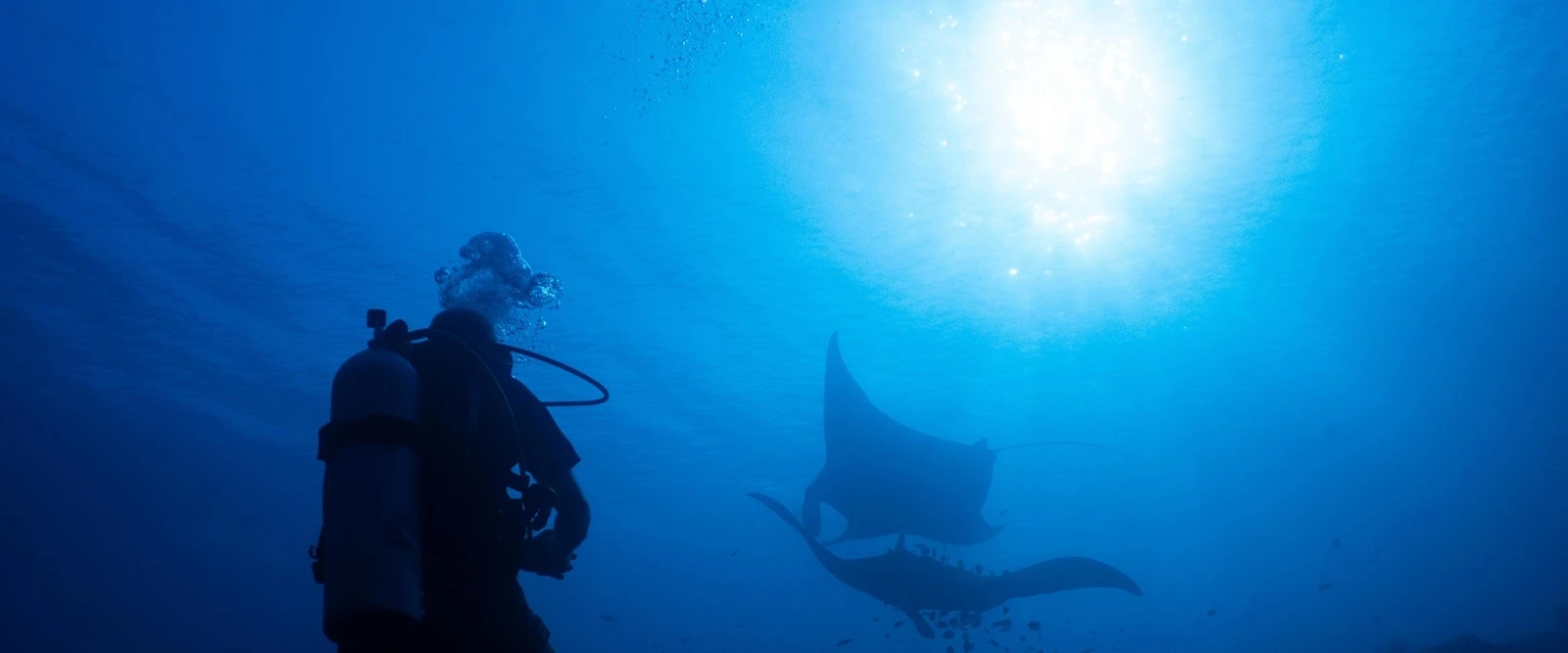 Ocean protections clash with mining pressure in Indonesia's diverse marine ecosystem