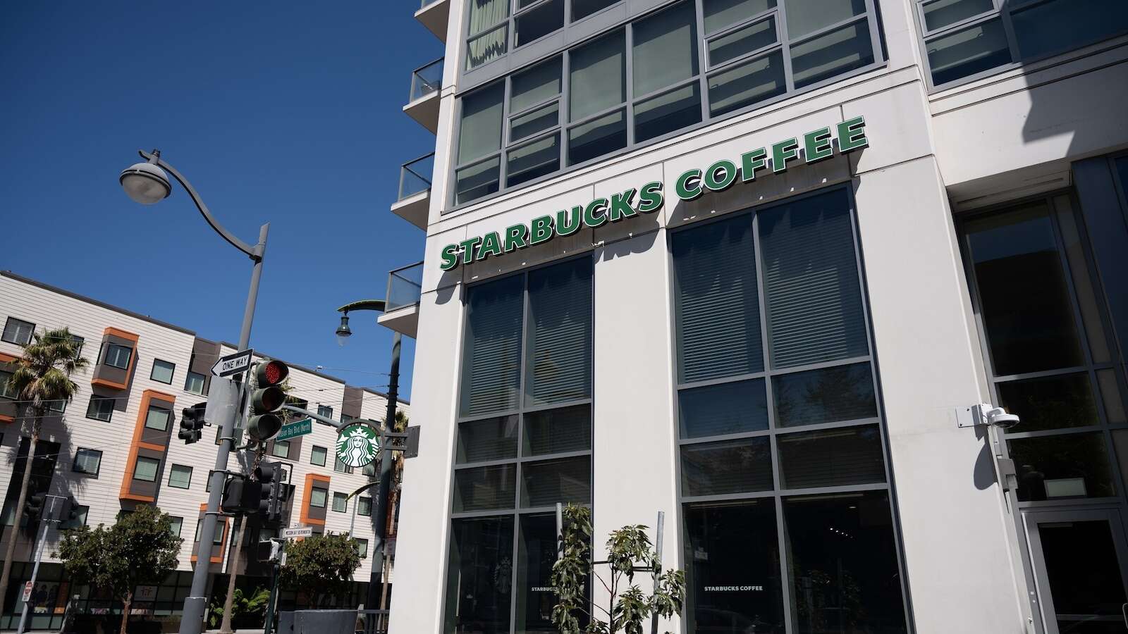 Starbucks latest changes as CEO commits to 'restore confidence' in coffee businessThe Seattle-based company has dropped fees for nondairy milk.12 minutes ago