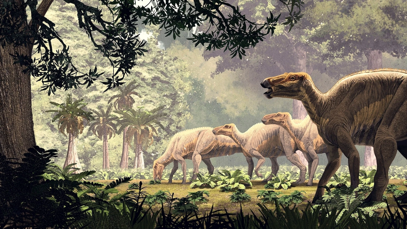 'Stunningly preserved' dinosaur 'mummies' discovered in Wyoming have skin and hooves