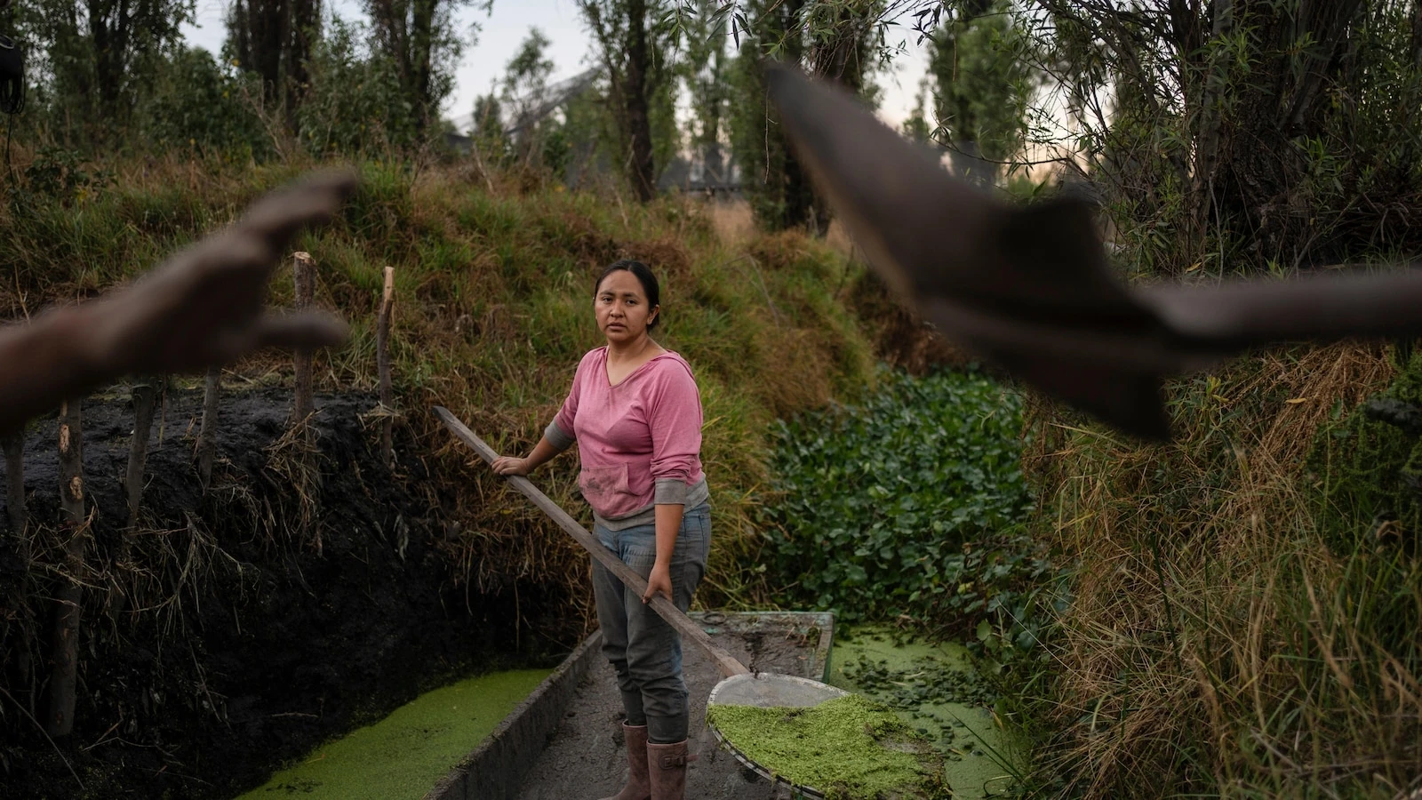 In Mexico, women didn't traditionally inherit island farms. Now some are determined to protect them