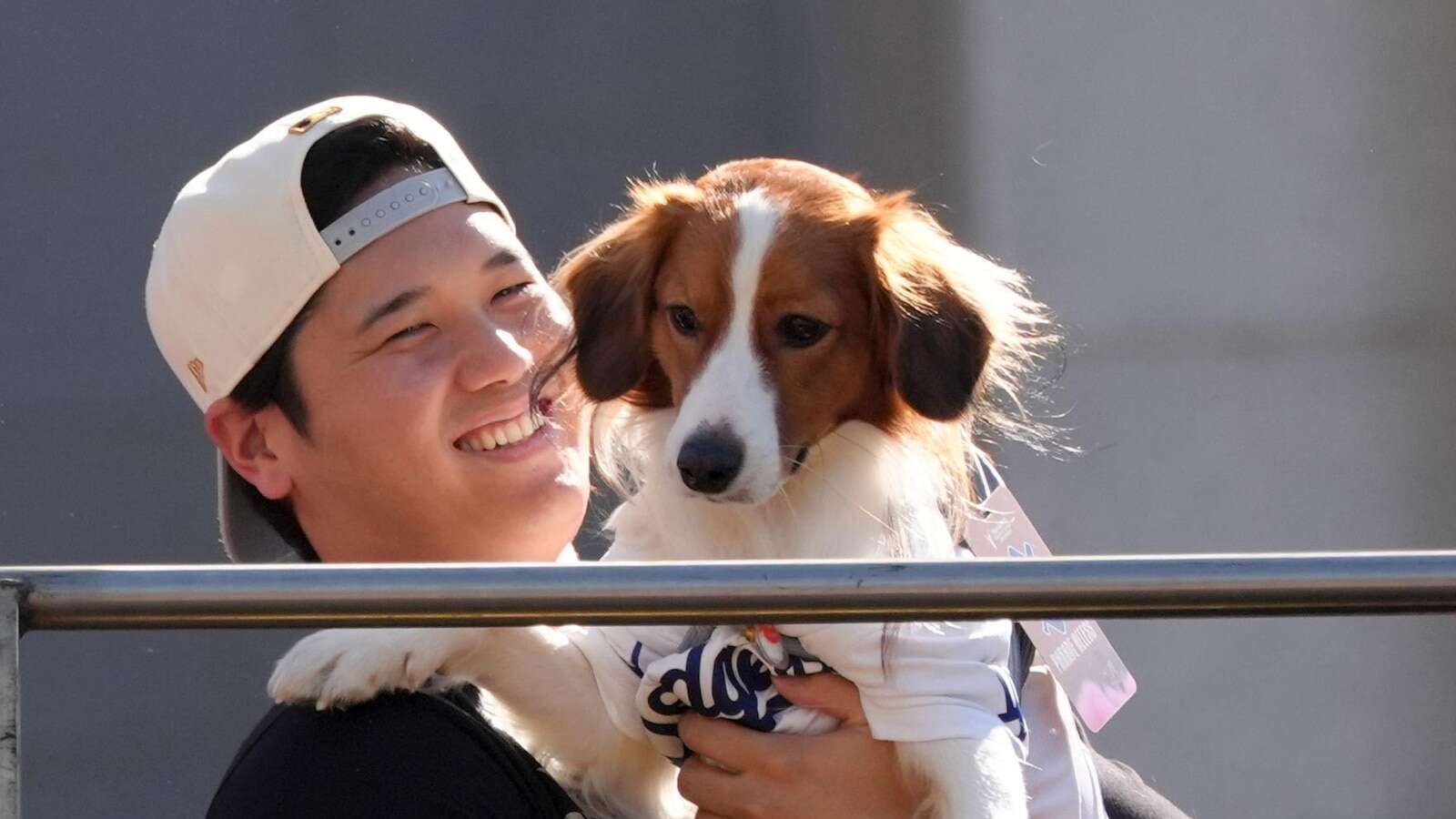 Meet Decoy Ohtani, perhaps the most valuable pet of the World Series