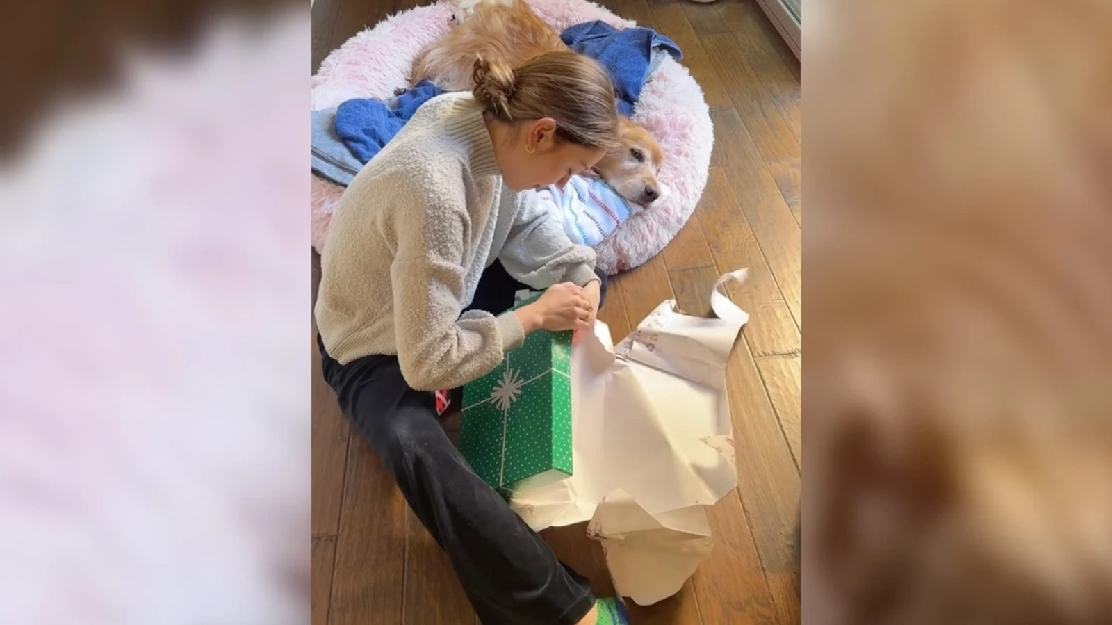 Sister gifts heartfelt photo album of dog to share with sibling in dog's final daysThe photo album included photos of Boomer celebrating obscure holidays.1/23/2024 08:08:34 EST
