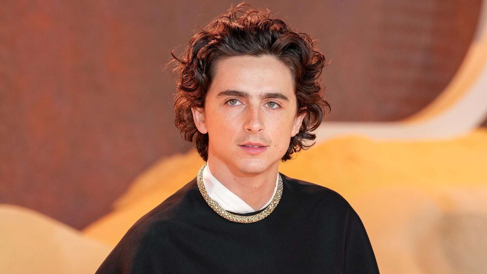 After ‘Wonka’ and ‘Dune,’ Timothée Chalamet signs first look deal with Warner Bros.