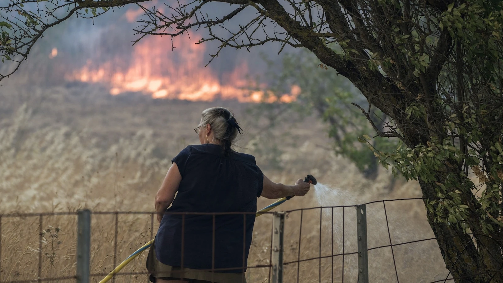 1 dead, 11 injured as 1,500 firefighters battle raging wildfires in FranceAerial support to battle the fires is expected to arrive on Wednesday morning.5 minutes ago