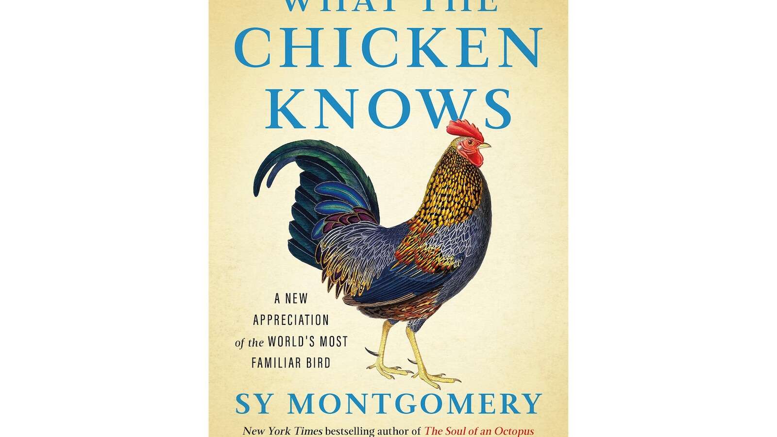 Book Review: Sy Montgomery shares ‘What the Chicken Knows’ in new mini hardcover