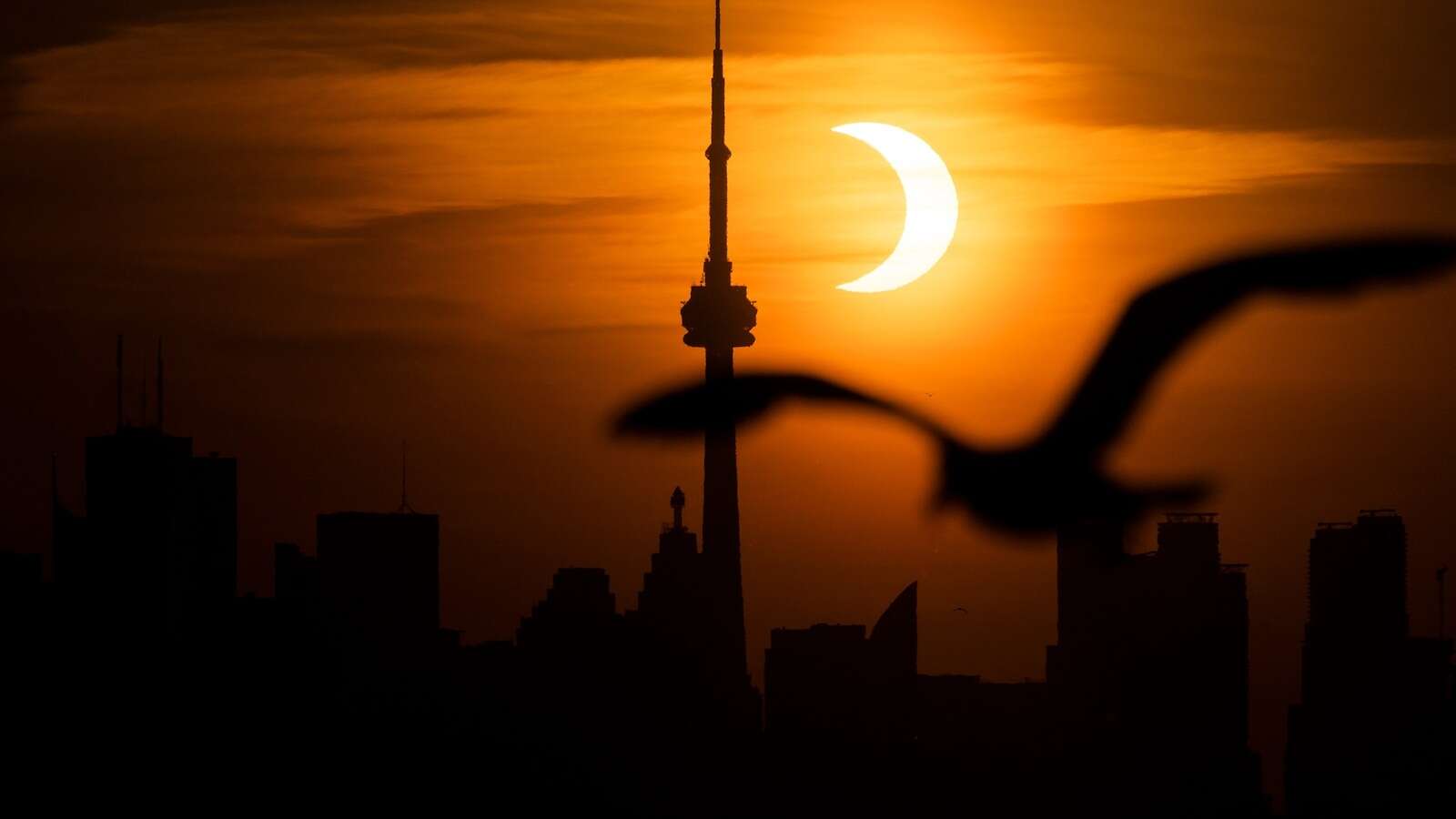 'Ring of fire' to appear 6 months after total solar eclipseA 