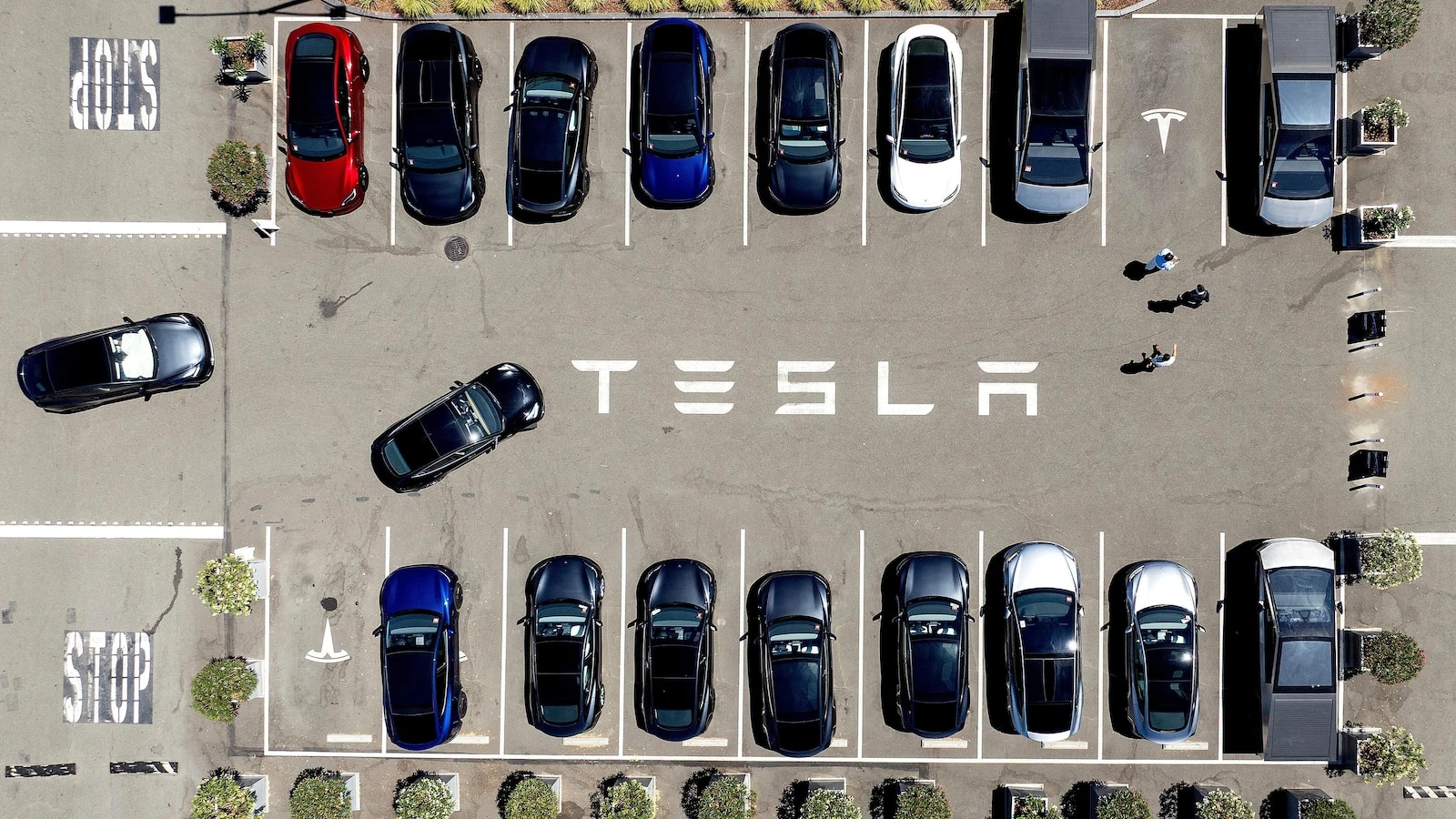 Parents of woman killed in Tesla crash allege design flaw trapped her in burning car