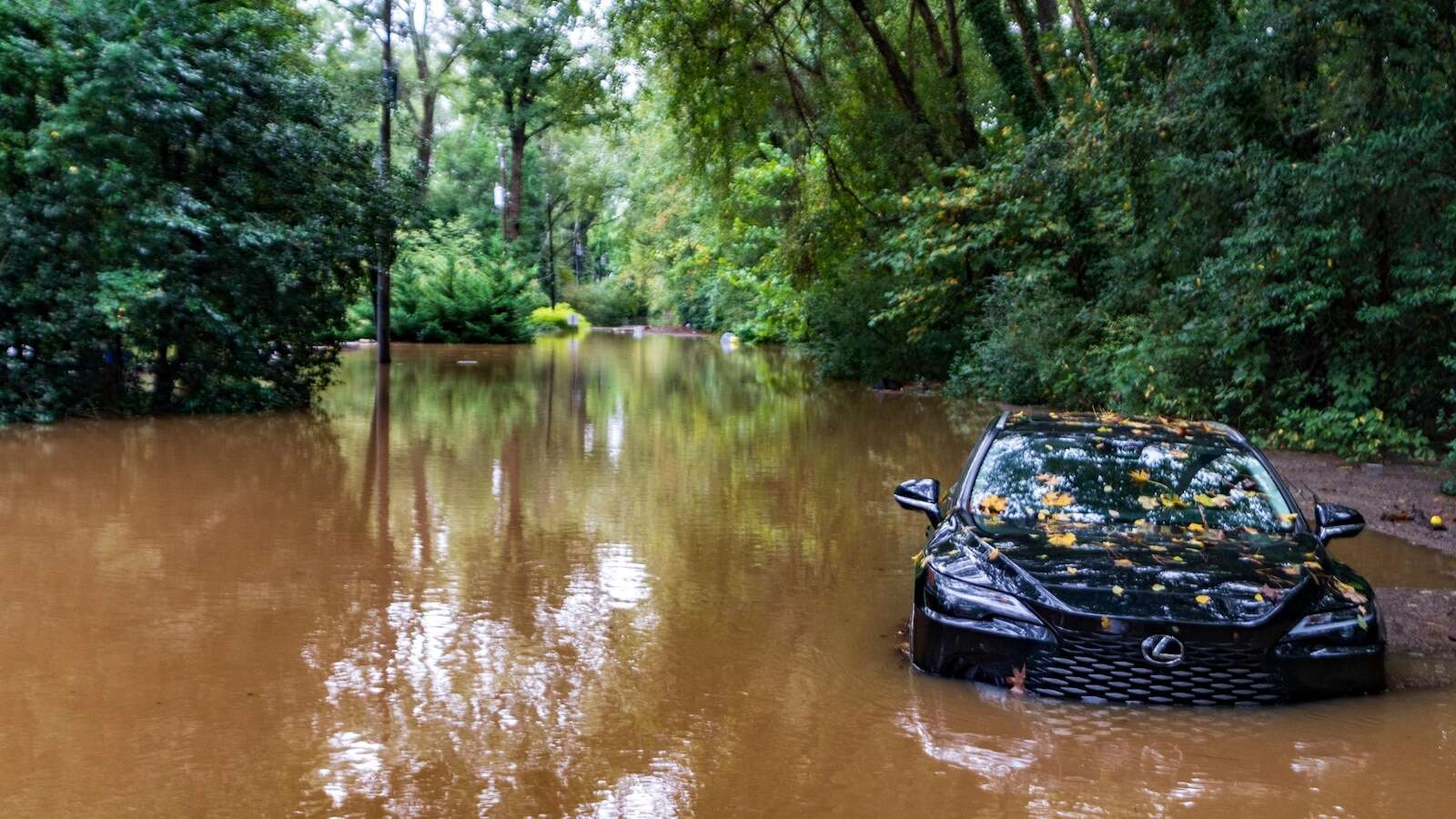 Officials warn that EVs could catch fire if inundated with saltwater from Hurricane Helene