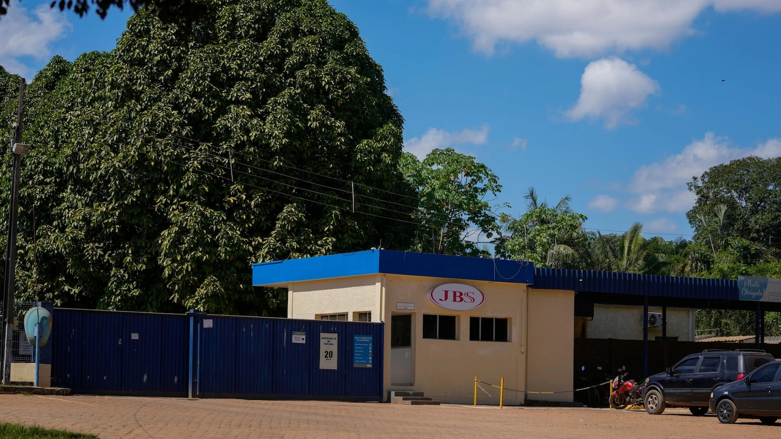 Brazil slaughterhouses reduce ties to Amazon deforestation, but cattle laundering remains issue