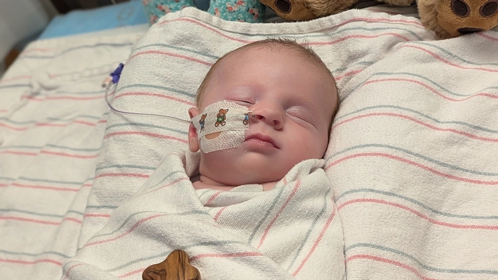Mom says infant may have rare Powassan virus