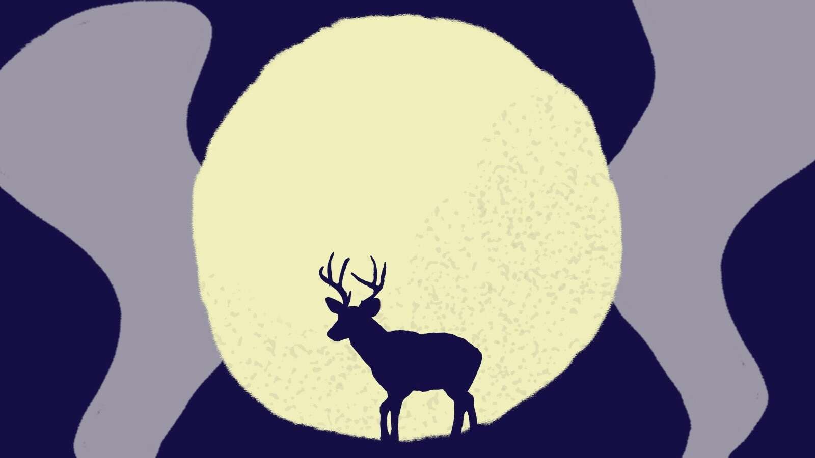 July full moon: What the buck moon means for your zodiacThe full moon will arrive on July 21, 2024, at 06:17 a.m. ET.7/19/2024 11:16:06 EDT